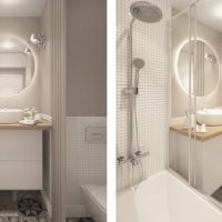 Kombinuoto vonios kambario dizainas dvuška